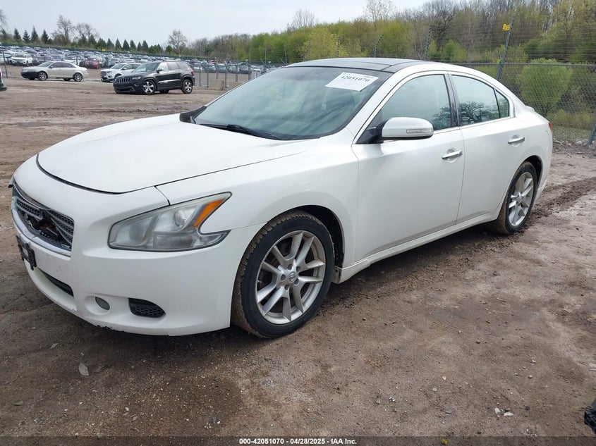 2011 NISSAN MAXIMA VIN: 1N4AA5AP5BC843869