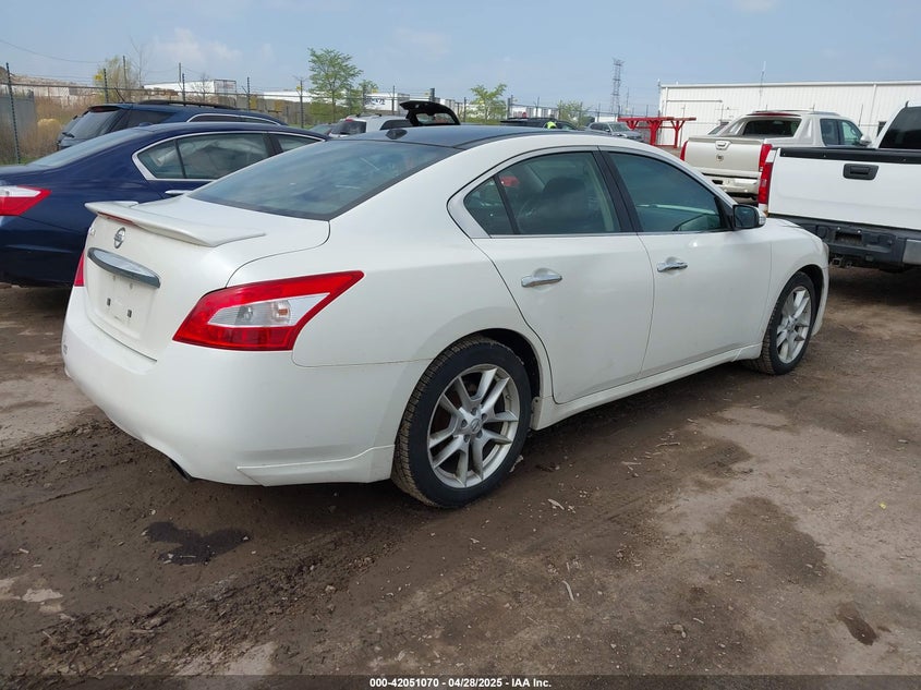 2011 NISSAN MAXIMA VIN: 1N4AA5AP5BC843869