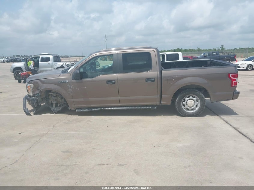 2019 FORD F-150 XL - 1FTEW1CP2KKE83484