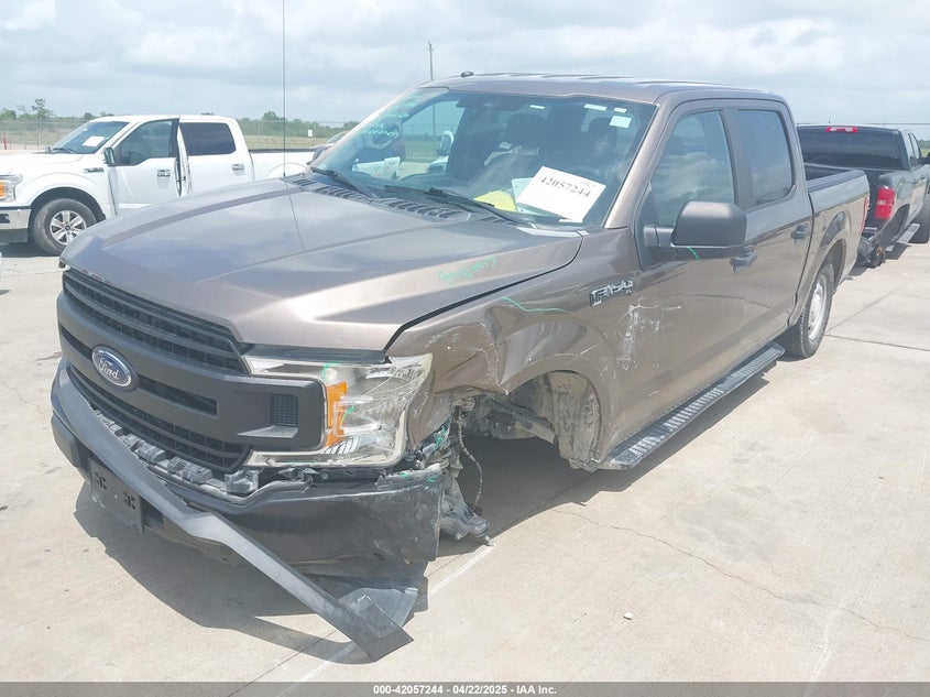 2019 FORD F-150 XL - 1FTEW1CP2KKE83484