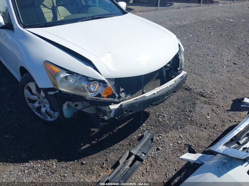 2010 HONDA ACCORD VIN: 1HGCP2F86AA070018