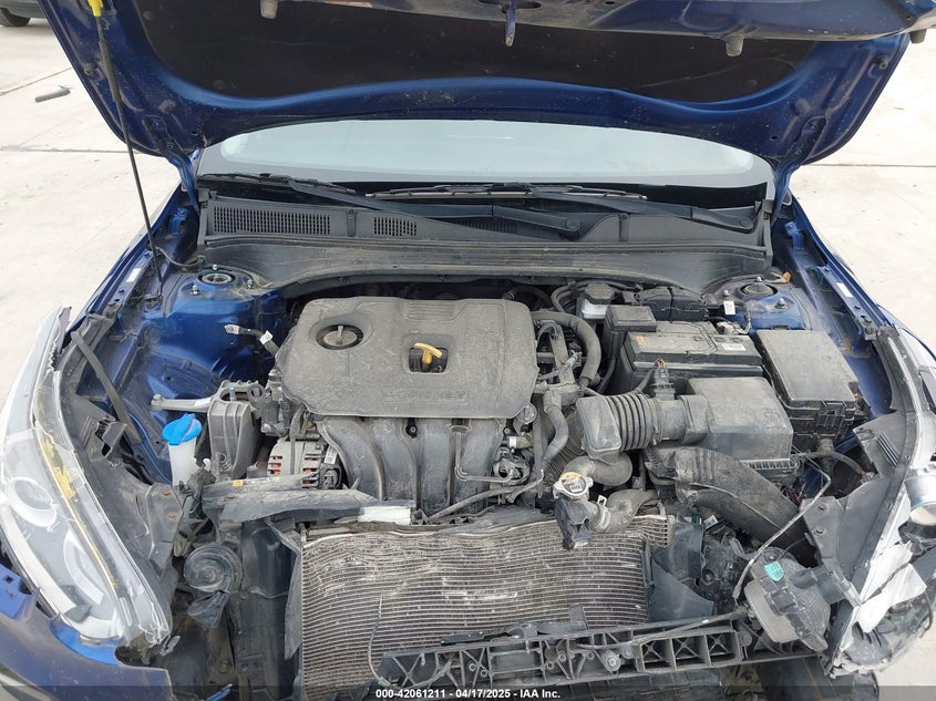 2019 Kia Forte Lxs VIN: 3KPF24AD4KE135618 Lot: 42061211