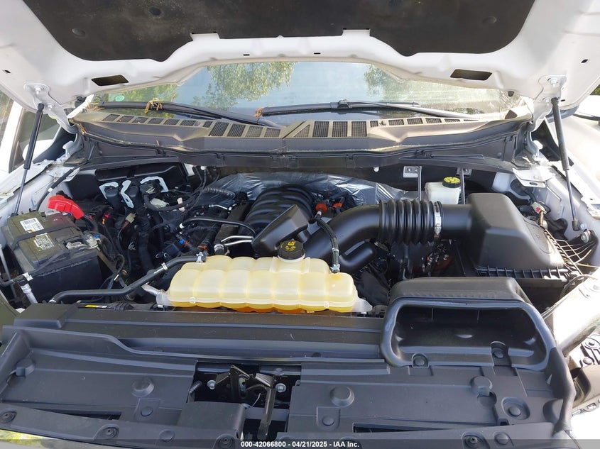 2021 FORD F150 VIN: 1FTFW1E56MFB96239