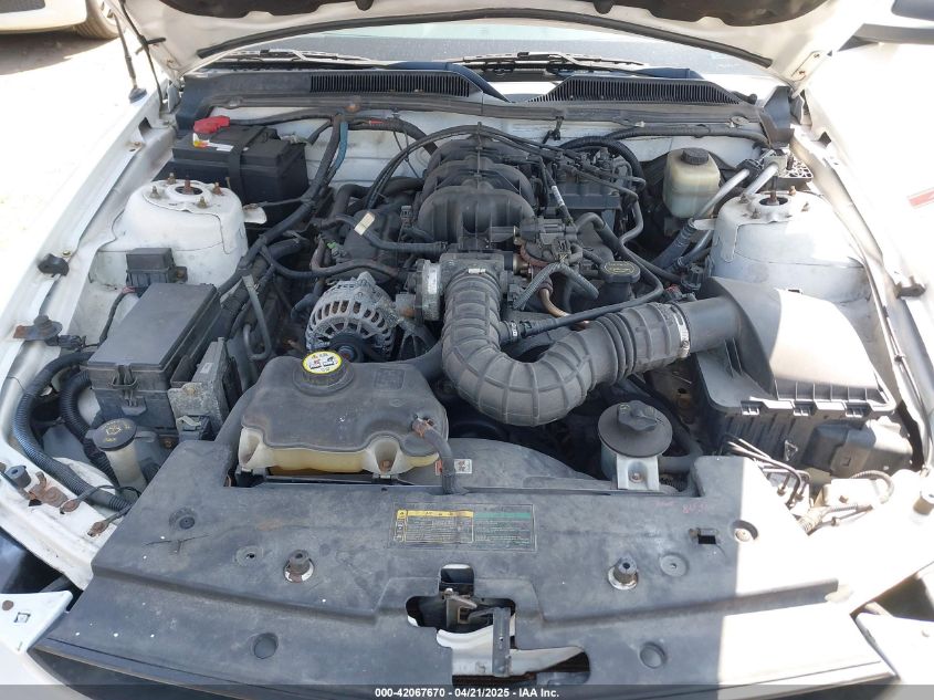 2008 Ford Mustang V6 Deluxe/V6 Premium VIN: 1ZVHT80N885108818 Lot: 42067670