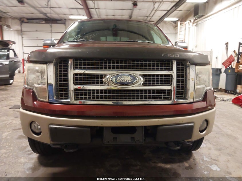 2009 FORD F-150 VIN: 1FTPW14V59KC69010