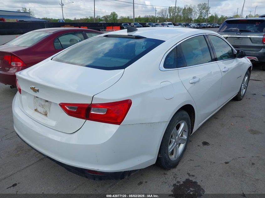 2019 CHEVROLET MALIBU VIN: 1G1ZB5ST8KF203815
