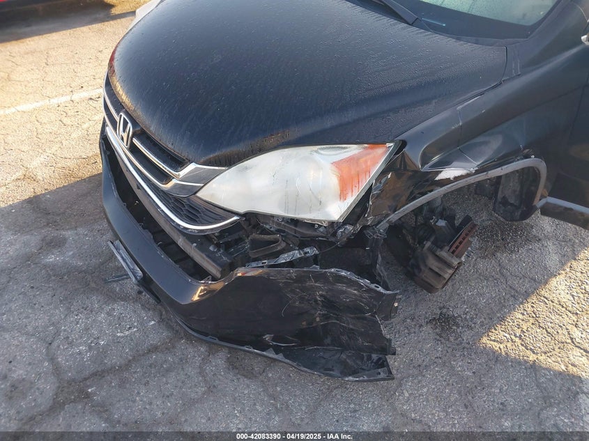 2010 HONDA CR-V VIN: 5J6RE3H5XAL011737
