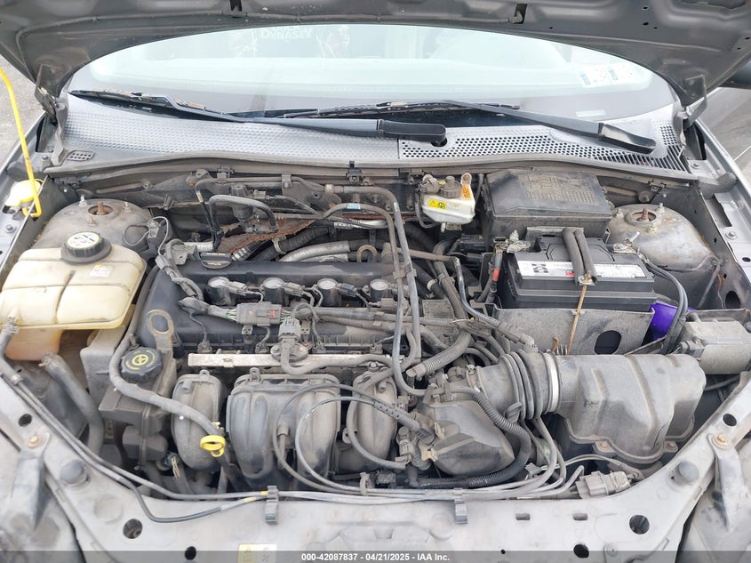 2006 FORD FOCUS VIN: 1FAHP34NX6W234504