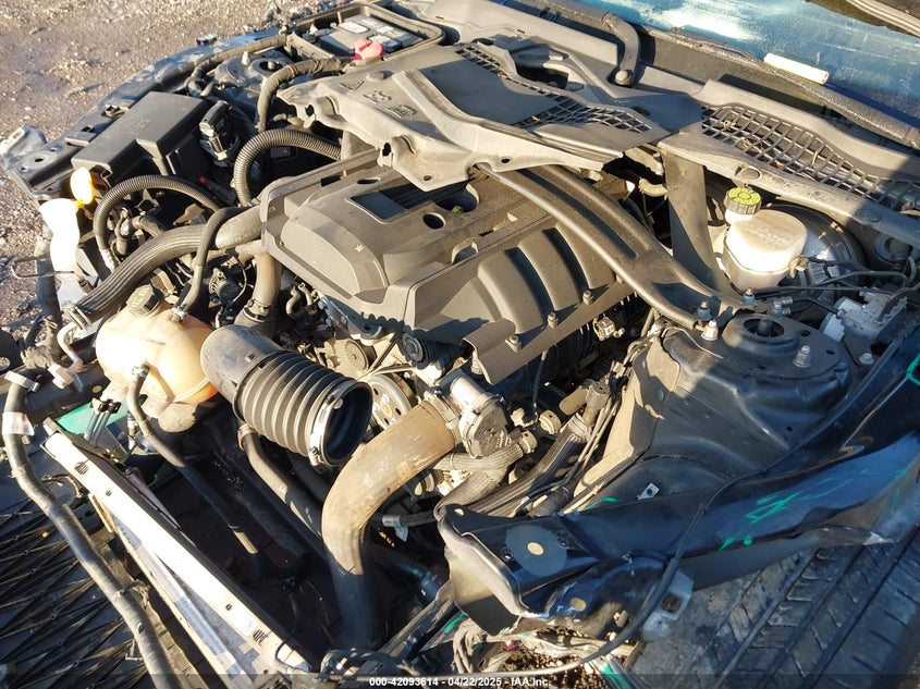 2019 FORD MUSTANG VIN: 1FA6P8TH7K5180949