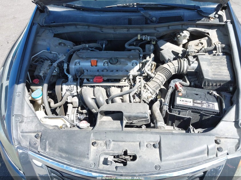 2010 HONDA ACCORD VIN: 1HGCP2F41AA166071