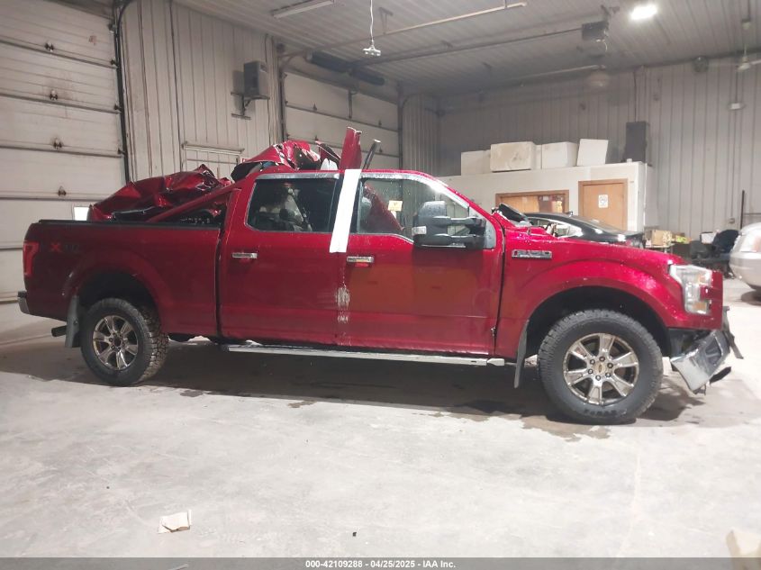 2015 Ford F-150 Xlt VIN: 1FTFW1EF4FFB43695 Lot: 42109288