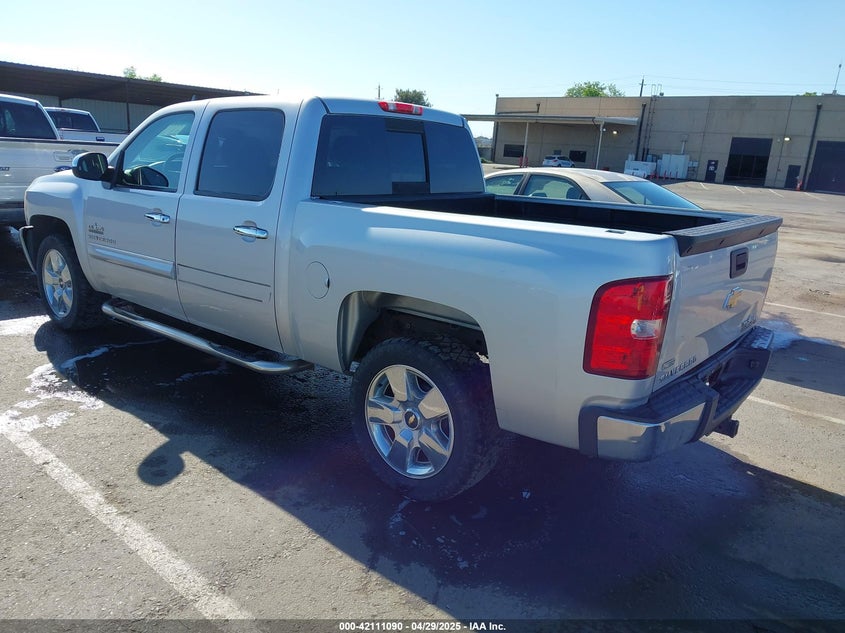 2010 CHEVROLET SILVERADO 1500 VIN: 3GCRCSE02AG163989