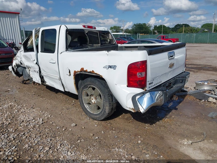 2009 CHEVROLET SILVERADO 1500 VIN: 3GCEK333X9G133655