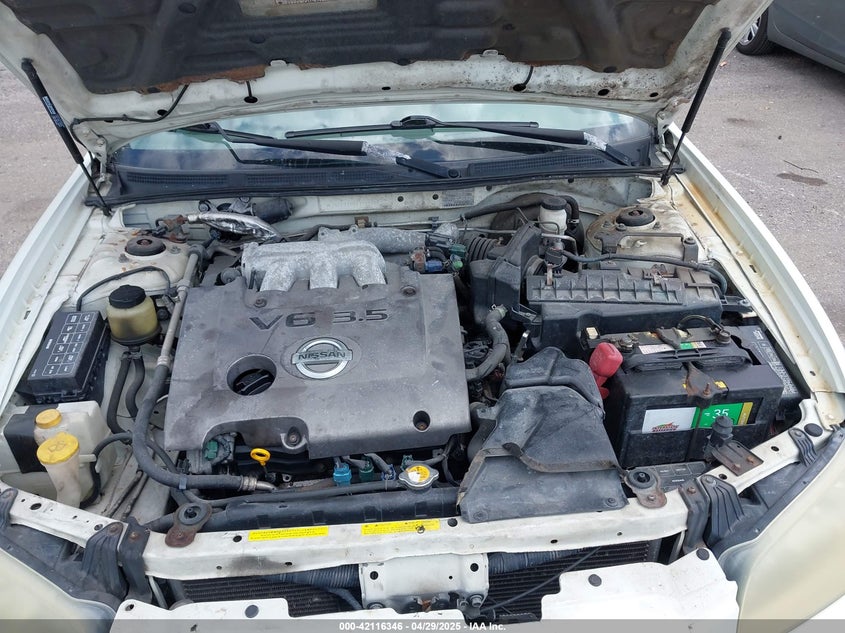 2003 Nissan Maxima Se VIN: JN1DA31DX3T501453 Lot: 42116346