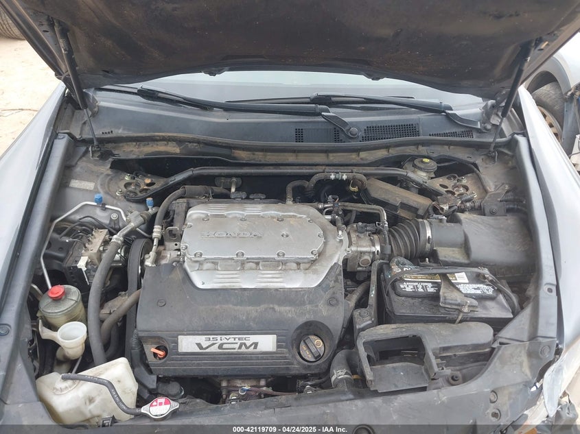 2011 HONDA ACCORD VIN: 1HGCP3F80BA019881