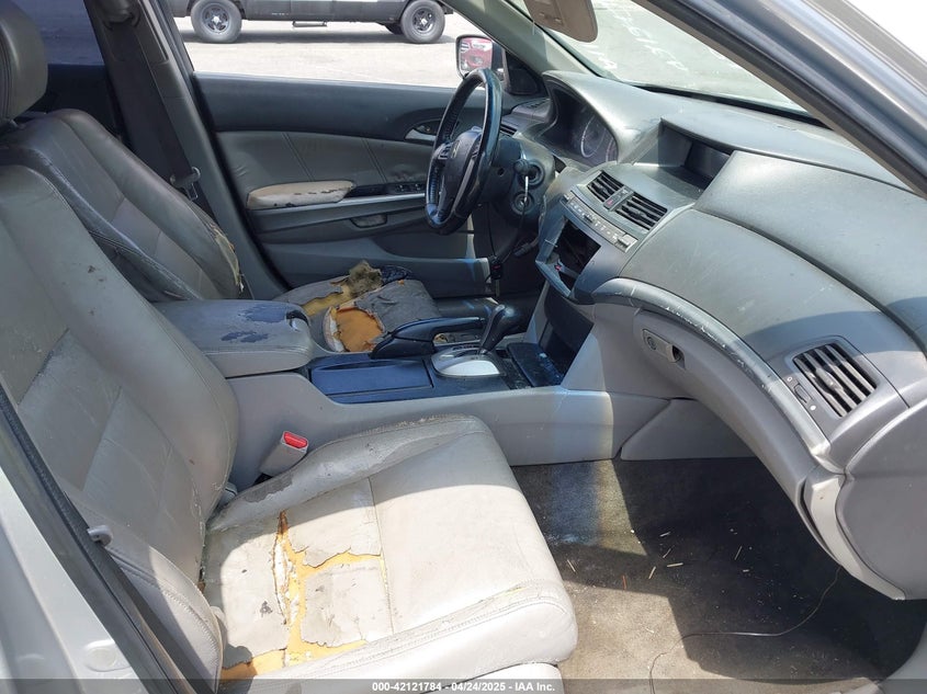 2010 HONDA ACCORD VIN: 1HGCP2F83AA123841