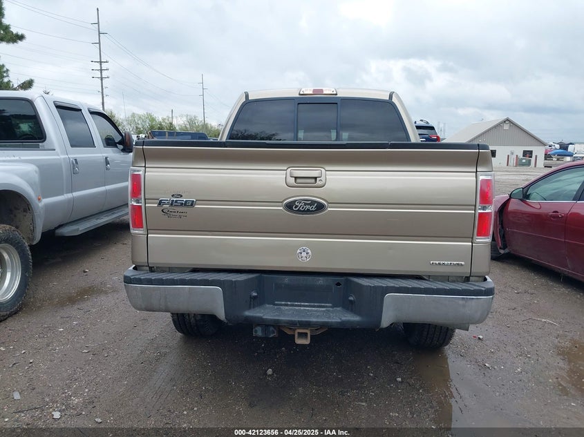 2011 FORD F-150 VIN: 1FTFW1EF7BFA38434