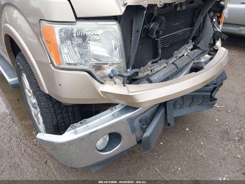 2011 FORD F-150 VIN: 1FTFW1EF7BFA38434