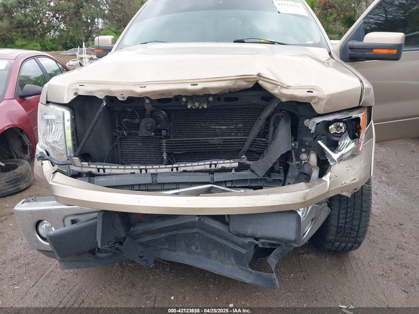 2011 FORD F-150 VIN: 1FTFW1EF7BFA38434