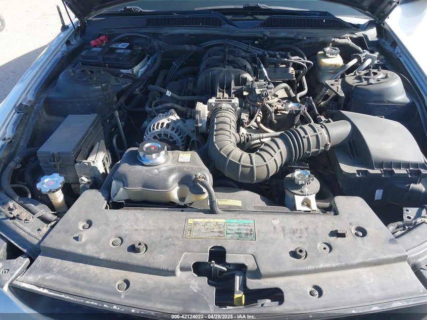 2006 FORD MUSTANG VIN: 1ZVFT80N465121747