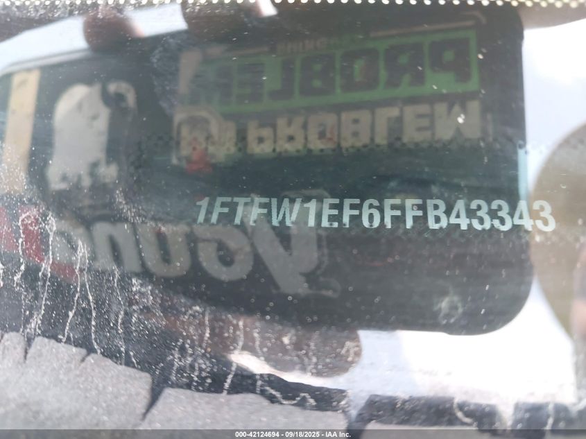 2015 Ford F-150 Xlt VIN: 1FTFW1EF6FFB43343 Lot: 42124694
