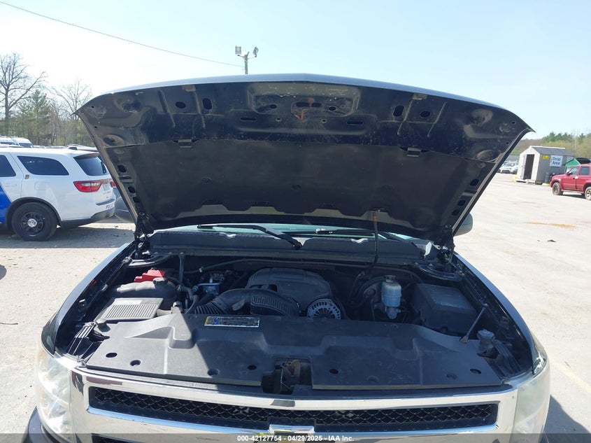 2010 CHEVROLET SILVERADO 1500 VIN: 3GCRKSE34AG148293