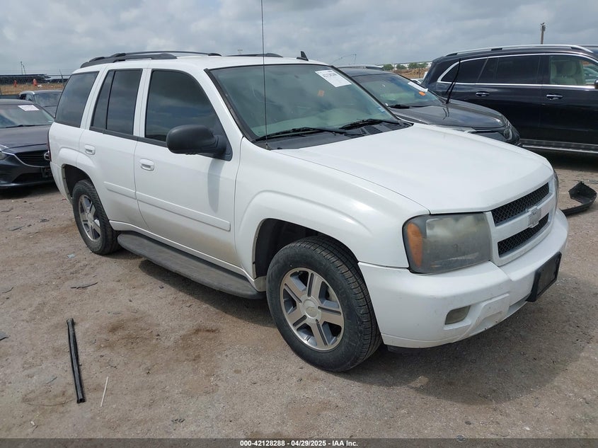 2008 CHEVROLET TRAILBLAZER VIN: 1GNDS13S982191262