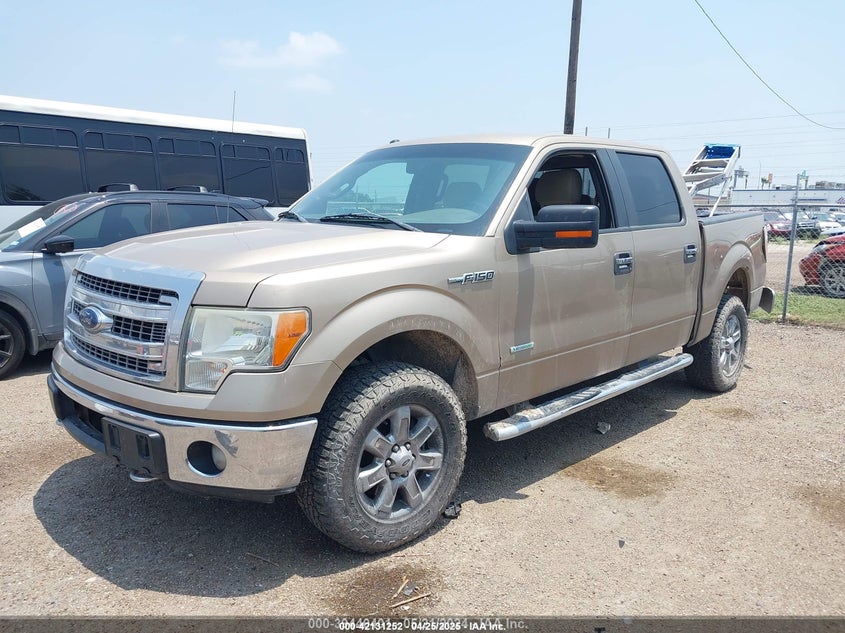 2013 FORD F-150 VIN: 1FTFW1ETXDKF25269