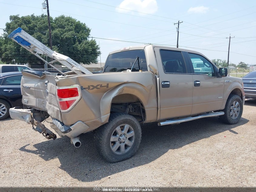 2013 FORD F-150 VIN: 1FTFW1ETXDKF25269