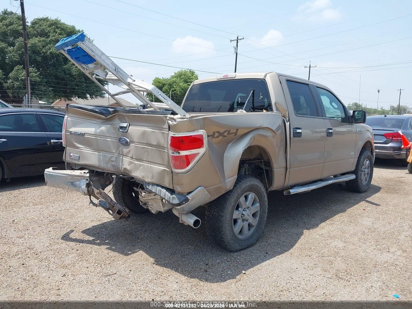 2013 FORD F-150 VIN: 1FTFW1ETXDKF25269