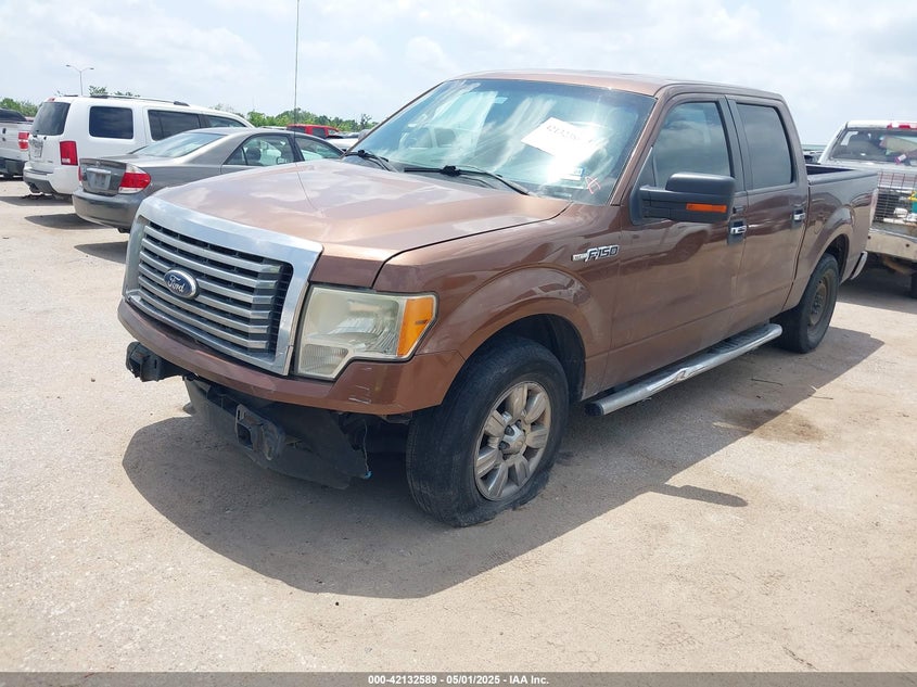 2011 FORD F-150 VIN: 1FTEW1CM0BFC71939