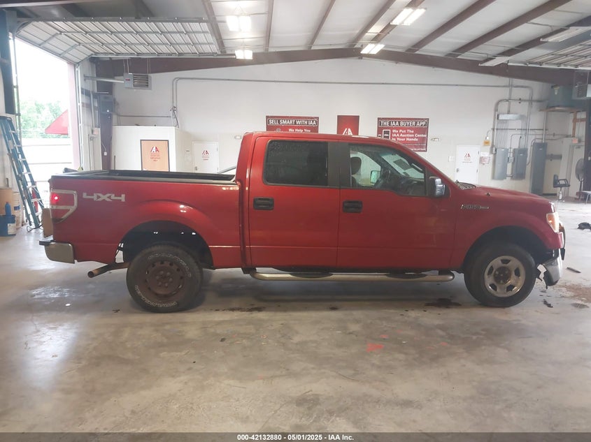 2010 FORD F-150 VIN: 1FTEW1E83AFA15244