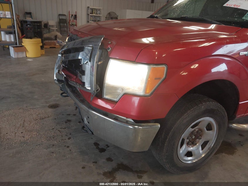 2010 FORD F-150 VIN: 1FTEW1E83AFA15244