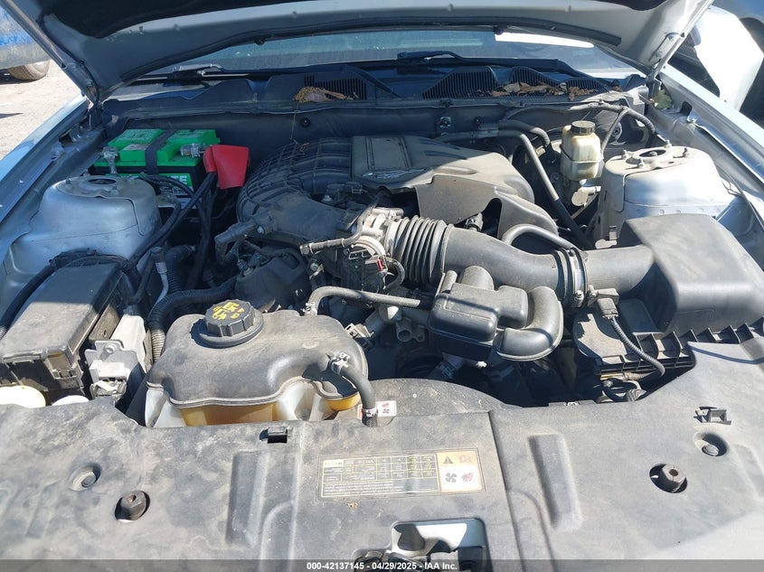 2014 Ford Mustang V6 Premium VIN: 1ZVBP8AM3E5282419 Lot: 42137145