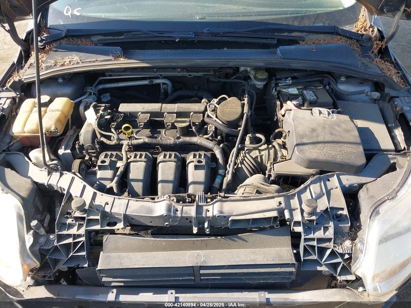 2012 FORD FOCUS VIN: 1FAHP3K23CL366865