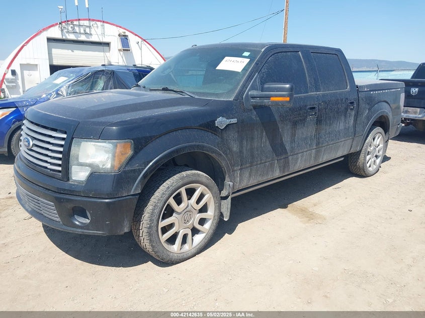 2011 FORD F-150 VIN: 1FTFW1E63BFA40438