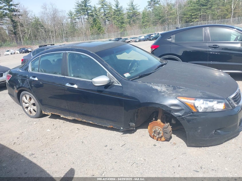 2008 HONDA ACCORD VIN: 1HGCP36808A002443