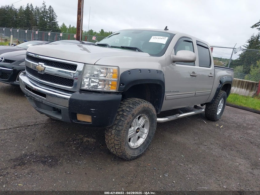 2009 CHEVROLET SILVERADO 1500 VIN: 3GCEK23329G261849