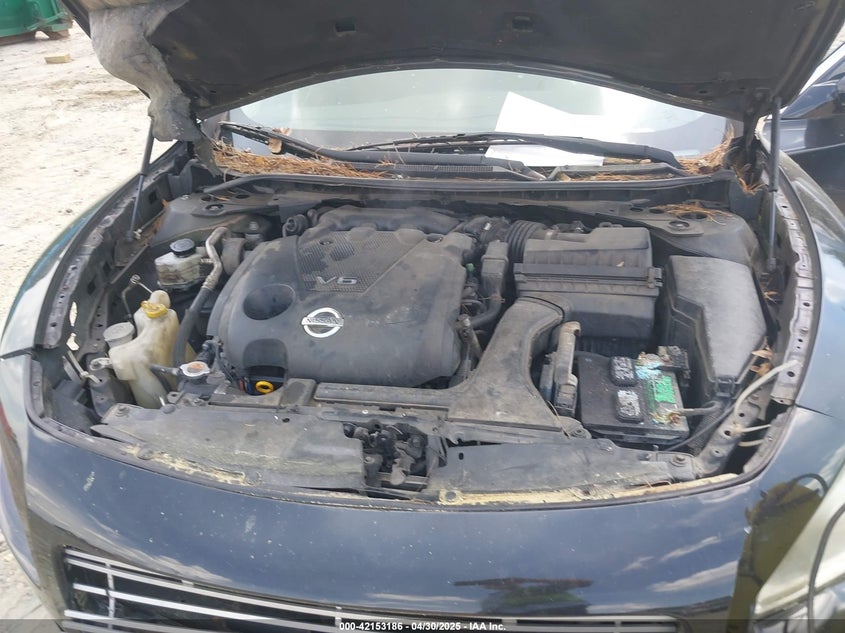 2012 NISSAN MAXIMA VIN: 1N4AA5AP7CC853448