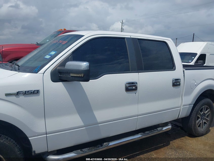 2011 FORD F-150 VIN: 1FTEW1CM7BFB76987