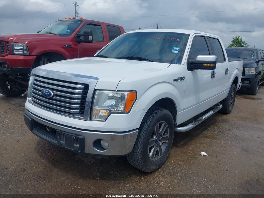 2011 FORD F-150 VIN: 1FTEW1CM7BFB76987