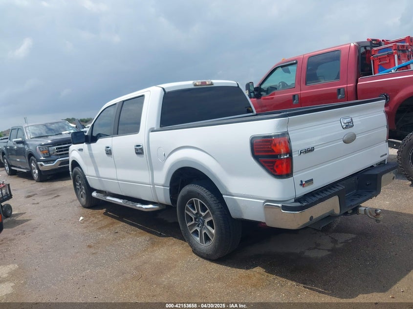 2011 FORD F-150 VIN: 1FTEW1CM7BFB76987