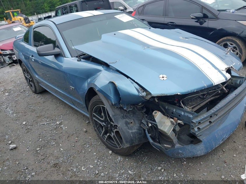 2006 FORD MUSTANG VIN: 1ZVHT82H165257818