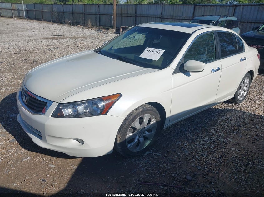 2010 HONDA ACCORD VIN: 1HGCP3F89AA031753