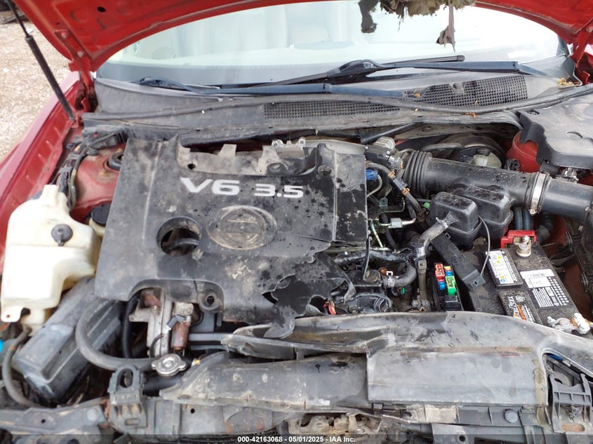 2007 Nissan Maxima 3.5 Se VIN: 1N4BA41E37C820093 Lot: 43386544