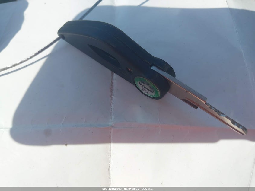 VIN: LBBPHE044PBE40113 2023 BENELLI 302S