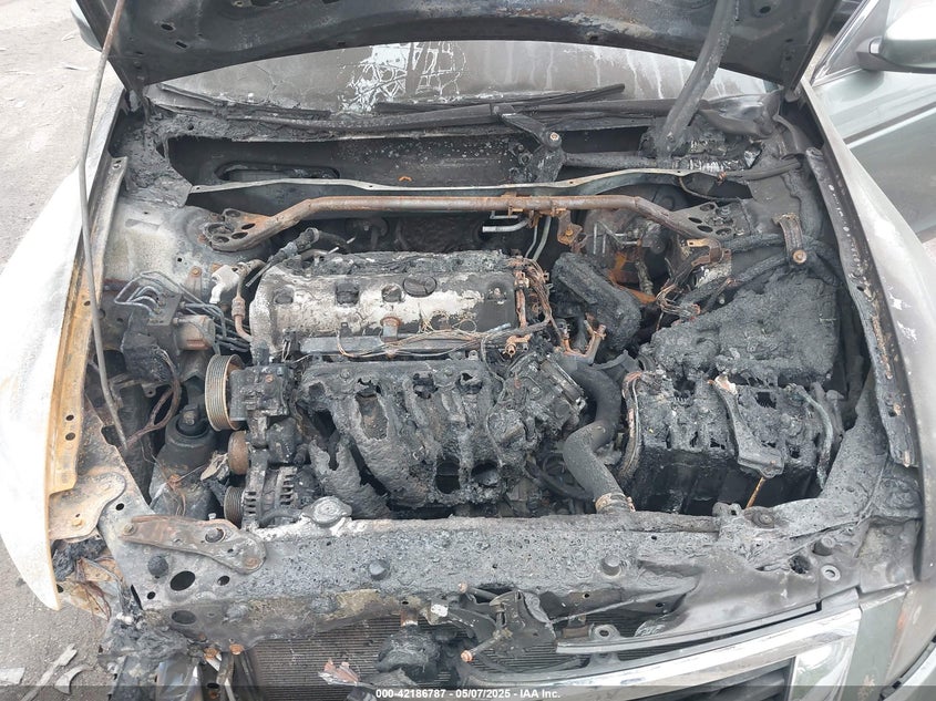 2010 HONDA ACCORD VIN: 1HGCP2F71AA150172