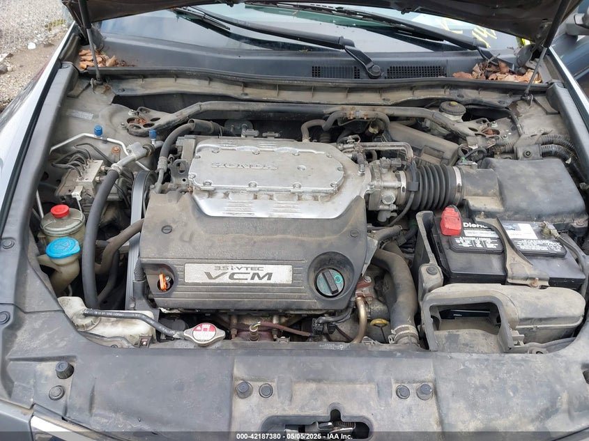 2010 HONDA ACCORD VIN: 1HGCP3F83AA013636