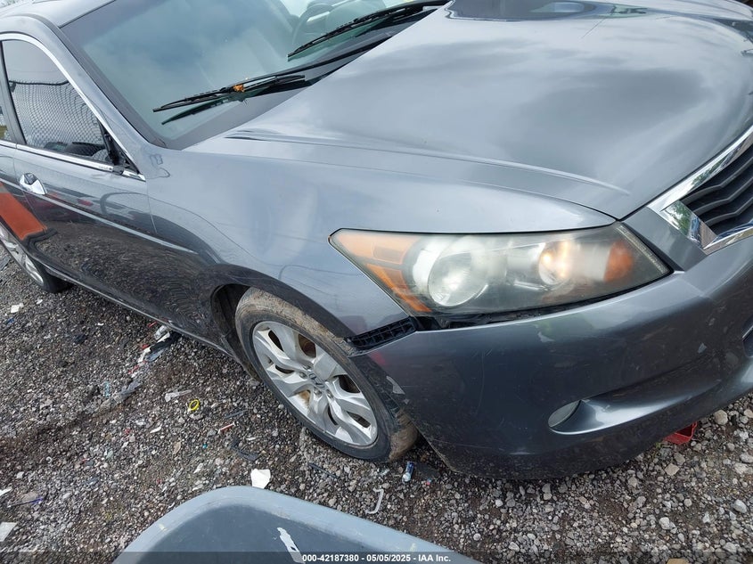 2010 HONDA ACCORD VIN: 1HGCP3F83AA013636