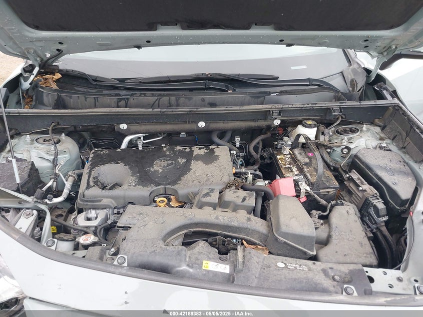 VIN 2T3W1RFV8PW239168 2023 TOYOTA RAV4 XLE
